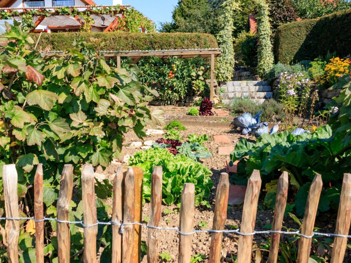 Ferienwohnung Heimatgefuehl Thalheim Leibertingen エクステリア 写真